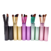 2020 Best Seller Pink Purple Small Travel Use 5pcs Eye Makeup Brush with Tube